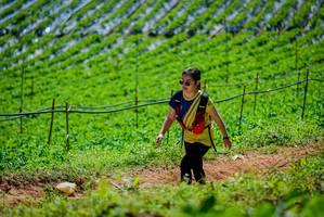 BIB: 
                            <button type="button" onclick="openModal(19164603)" class="btn btn-primary btn-sm float-right btn-popup" data-toggle="modal" data-target=".modal-high-quality">
                        <i class="fas fa-shopping-cart"></i> Add to Cart
                    </button>
                                            <button type="button" onclick="isThisMe(19164603, true)" class="btn btn-success btn-sm float-right btn-popup btn-isme hidden" data-toggle="tooltip" data-placement="bottom" title="นี่คือรูปของคุณใช่ไหม คลิกที่นี่เพื่อเอาเข้าอัลบั้ม">
                        <i class="fas fa-plus"></i> Add to album
                    </button>
                    <button type="button" onclick="isThisMe(19164603, false)" class="btn btn-warning btn-sm float-right btn-popup btn-isnotme hidden">
                        <i class="fas fa-ban"></i> Remove from album
                    </button>